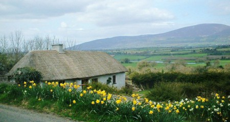 The Thatched Home,,Background view of Slievenamon and River Suir,in Co Tipperary.
